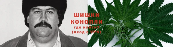 ECSTASY Покровск