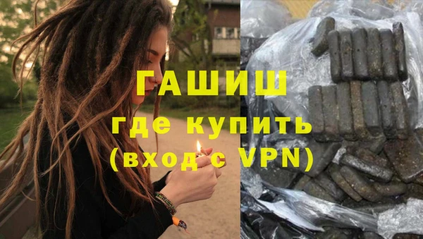 МДПВ Пересвет